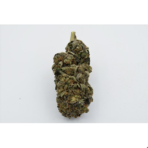 El Chapo (Hybrid) - SALE 1 OZ $105